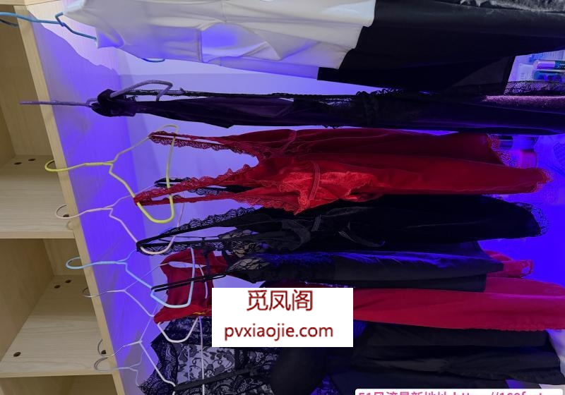 大蟒蛇性价比笛笛