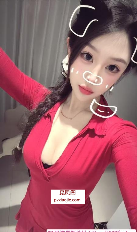包河兔兔
