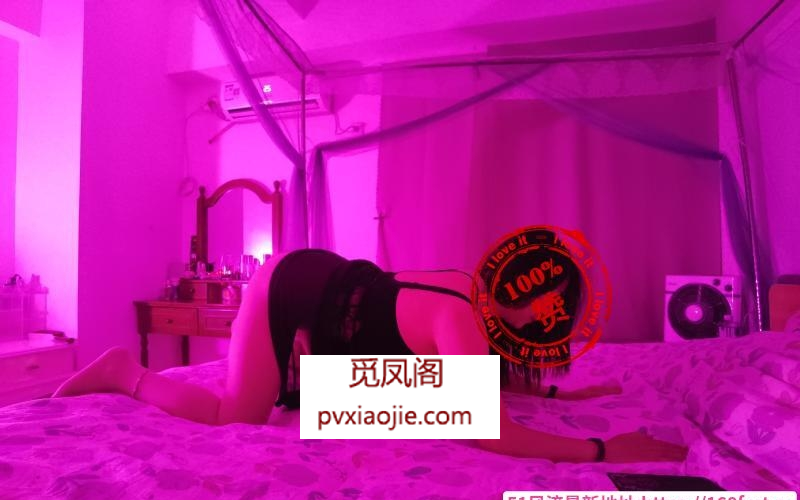 白云哈尔滨快餐小笨鸡