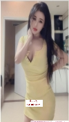 风骚狐狸老师
