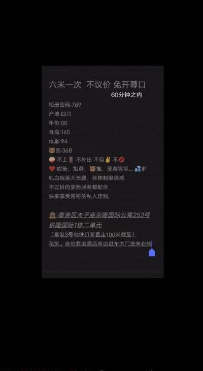 夫子庙花臂嫩妹