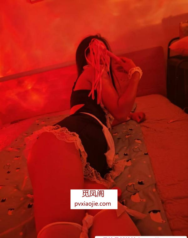 水床服务小刺猬